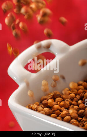 Pouring coriander seeds into a bowl. Close up view. Stock Photo