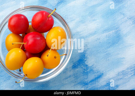 Glass bowl filled by yellow and red mirabelle plums over blue painted textile background. Copy space, overhead view. Stock Photo