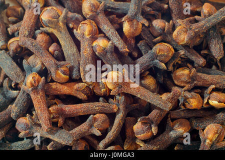 Cloves (Syzygium aromaticum) dried flower buds close up. Full frame shoot. Stock Photo