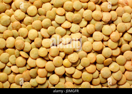 Green lentils (Lens culinaris) close-up. Full frame, top view. Stock Photo
