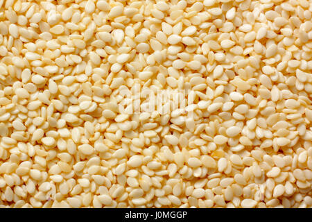 Sesame (Sesamum indicum) seeds close-up. Full frame, top view. Stock Photo
