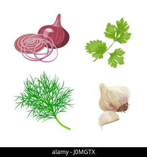 Red onion, garlic, parsley, dill. Fresh vegetables. Set collection. Vector illustration For food design labels tags posters advertising Stock Vector