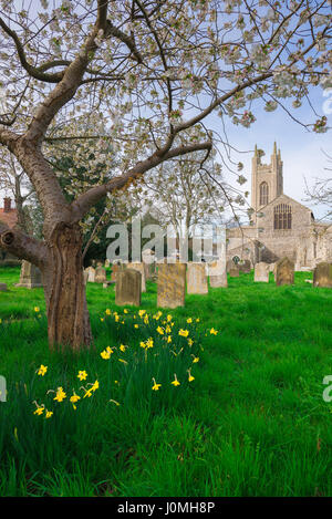 Bungay Suffolk, the churchyard of St Mary's Church in the centre of the Suffolk town of Bungay, spring, UK Stock Photo