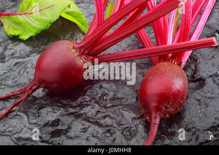 Fresh red beetroot on black painted stone Stock Photo