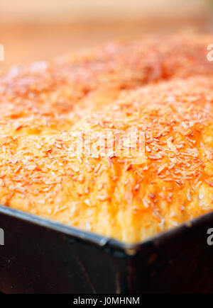 Yeast sponge cake crust close-up with limited depth of field Stock Photo
