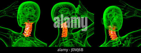 3d rendering medical illustration of the cervical spine Stock Photo