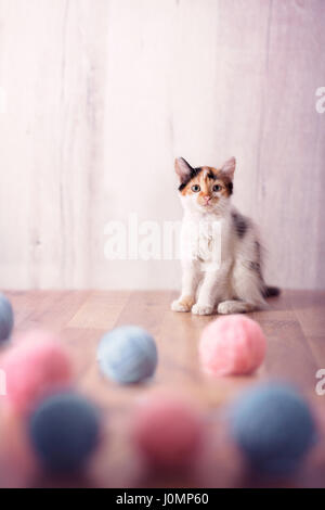 Little cat playing with wool toys Stock Photo