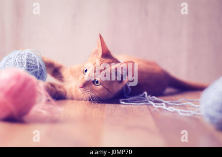 cute little cat playing with balls of wool Stock Photo