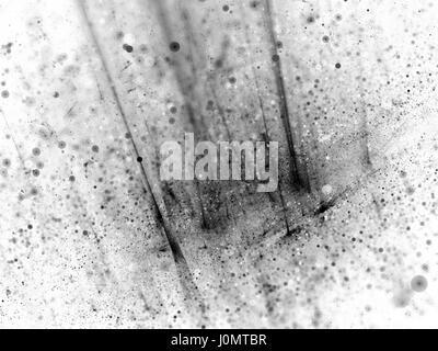 Black and white   big data, particles and rays, computer generated abstract background Stock Photo