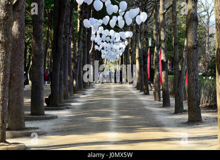 GANGWON-DO, SOUTH KOREA - APRIL 6, 2017: Tourists walking down the path between rows of trees and white balloons in Nami Island. Namisum is a tiny isl Stock Photo