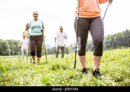 Four people walking in grass with walking poles. Stock Photo