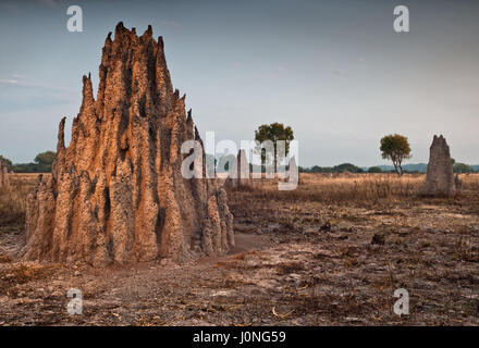 Cathedral termite mounds (Nasutitermes triodae), Kakadu National Park, Australia Stock Photo
