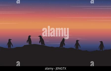 Beauty landscape penguin at sunset Stock Vector