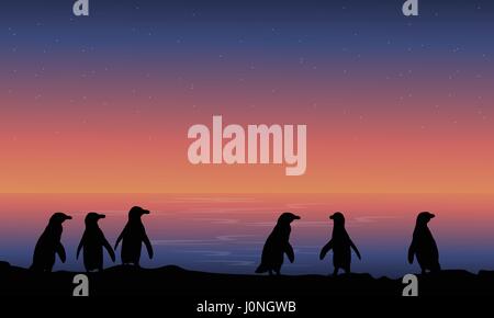 Silhouette penguin at night landscape Stock Vector