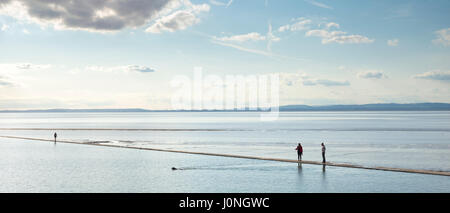 Dog swimming in marine lake by the sea watched by couple at Clevedon seaside, Somerset, England, UK Stock Photo