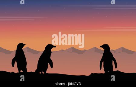 At night penguin silhouette beauty landscape Stock Vector