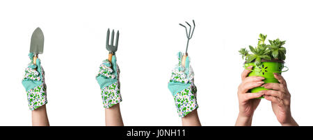 Hands holding gardening tools and houseleek plant Stock Photo