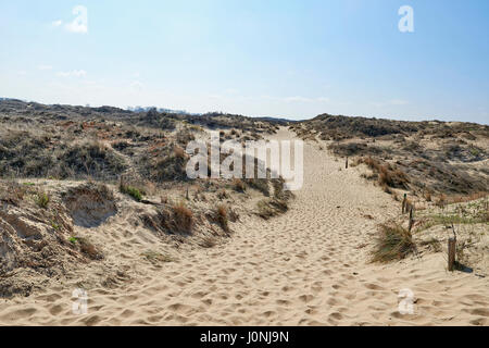 Footprints on the sand dunes of the Westhoek Dunes, La Panne, Belgium. Stock Photo