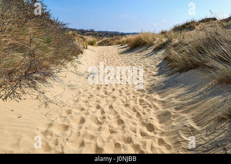 Footprints on the sand dunes of the Westhoek Dunes, La Panne, Belgium. Stock Photo