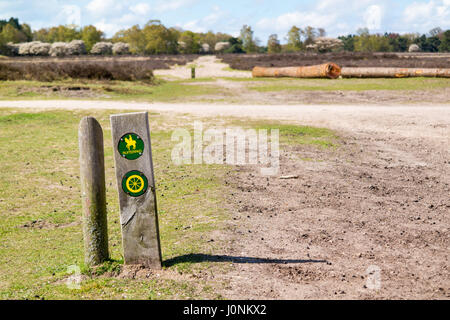 Bridle trail with wooden signpost for horse riding path on heathland near Hilversum, Gooi, Netherlands Stock Photo