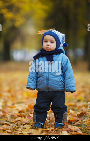 cute little boy in autumn park Stock Photo