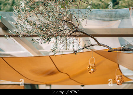 Candles in glass lamps. Wedding decorations. Wedding in Montenegro. Stock Photo