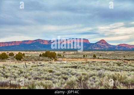 Incredibly beautiful landscape in Zion National Park, Washington County, Utah, USA Stock Photo