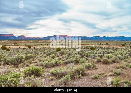 Incredibly beautiful landscape in Zion National Park, Washington County, Utah, USA Stock Photo