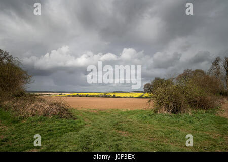 Beautiful agricultural English countryside landscape during early Spring morning Stock Photo