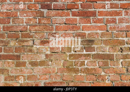 Detail photo of a brick wall Stock Photo
