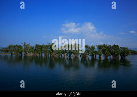 A scenario of Tanguar Haor also called Tangua Haor. Sunamganj,Bangladesh Stock Photo