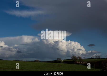 Cumulus Clouds Stock Photo
