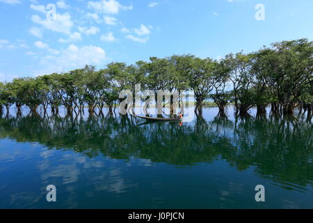 A scenario of Tanguar Haor also called Tangua Haor. Sunamganj,Bangladesh Stock Photo