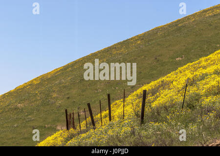 Along Hwy 58 at the entrance to Carrizo Plain National Monument in the San Juaquin valley of central California. Stock Photo