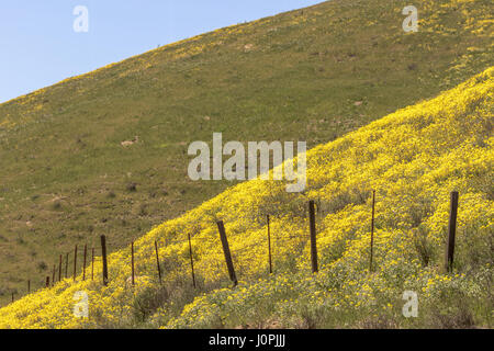 Along Hwy 58 at the entrance to Carrizo Plain National Monument in the San Juaquin valley of central California. Stock Photo