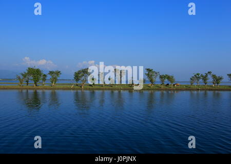 A scenario of Tanguar Haor also called Tangua Haor. Sunamganj,Bangladesh. Stock Photo