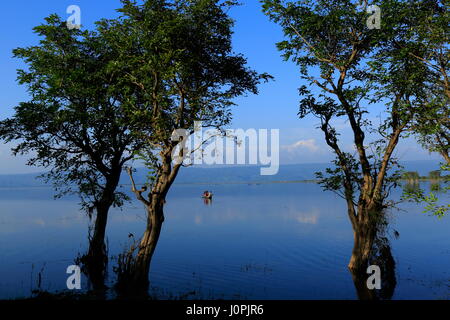 A scenario of Tanguar Haor also called Tangua Haor. Sunamganj,Bangladesh. Stock Photo