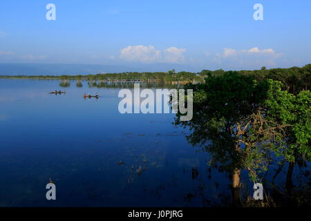 A scenario of Tanguar Haor also called Tangua Haor. Sunamganj,Bangladesh. Stock Photo