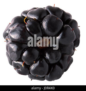 Fresh Fresh Blackberry isolated on the white background. Stock Photo