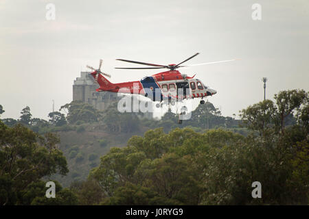 Geelong, Australia. 16th Apr, 2017. An elderly man is hoisted to the the air ambulance following a fall down a river embankment suffering life thretaning injuries at Buckly Falls in Geelong today. Credit: mcnovies/Alamy Live News Stock Photo