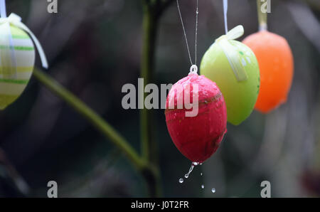 Zons, Germany. 15th Apr, 2017. Rain drops fall from colourful plastic Easter eggs hanging from branches in a garden in Dusseldorf, Germany, on 15 April 2017. Photo: Horst Ossinger/dpa/Ģ����ý Live News Stock Photo