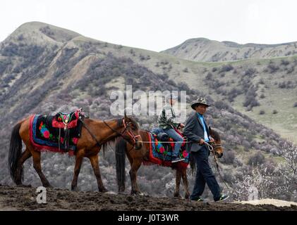 (170416) -- XINYUAN, April 16, 2017 (Xinhua) -- Local herdsmen wait for customers on a mountain in Turgen Township of Xinyuan County in Ili Kazakh Autonomous Prefecture, northwest China's Xinjiang Uygur Autonomous Region, April 16, 2017. Every April, the apricot flowers of Turgen have been a major attraction for tourists in Xinjiang. (Xinhua/Zhao Ge)(wjq) Stock Photo