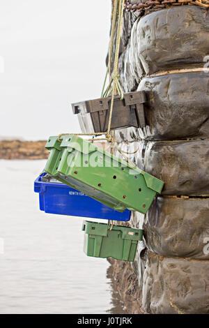 Plastic containers with seafood hanging on ropes by the ocean Stock Photo