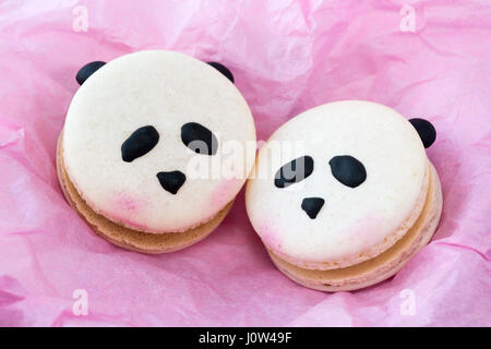 Panda macarons on pink tissue paper Stock Photo