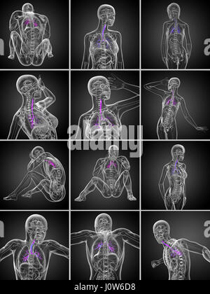 3d rendering medical illustration of a male Brain anatomy PITUITARY ...