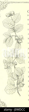 Image taken from page 168 of '[Poems and Pictures ... A new edition.]' Stock Photo