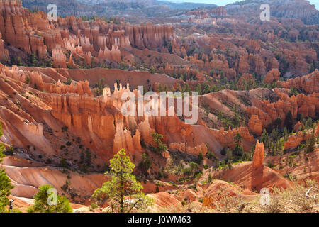 Bryce Canyon, Utah, United States Stock Photo