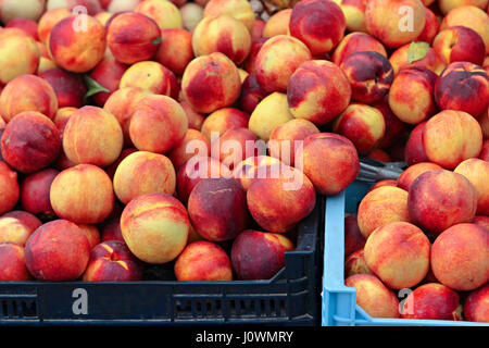 Nectarines on the market in plastic container Stock Photo