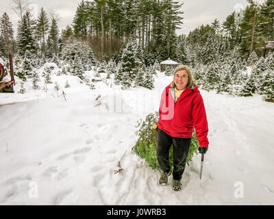 A woman wearing a red winter jacket drags her freshly cut Christmas tree through the snow in New Hampshire, USA. Stock Photo