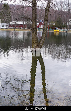 Cortland Country Music Park-Campground Stock Photo